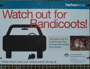 Watch out for Bandicoots!