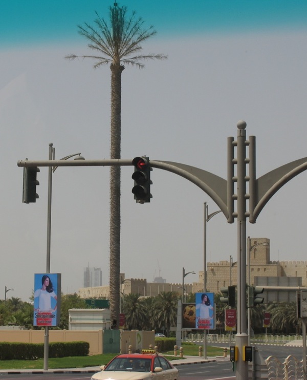 Dubai clever palm-style phone tower