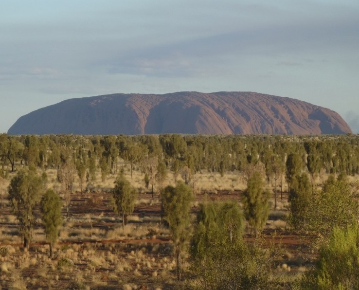 Uluru surrounded by an uncharacteristically green plain
