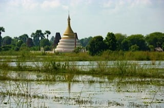 Pagodas, paddies and water lilies