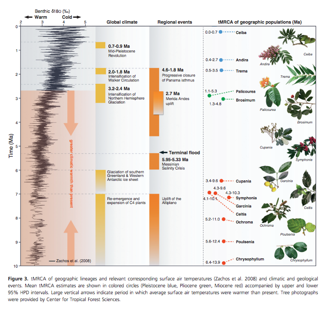 Warmth Tolerance of Amazon Species Dick et al in Ecology and Evolution Jan 2013