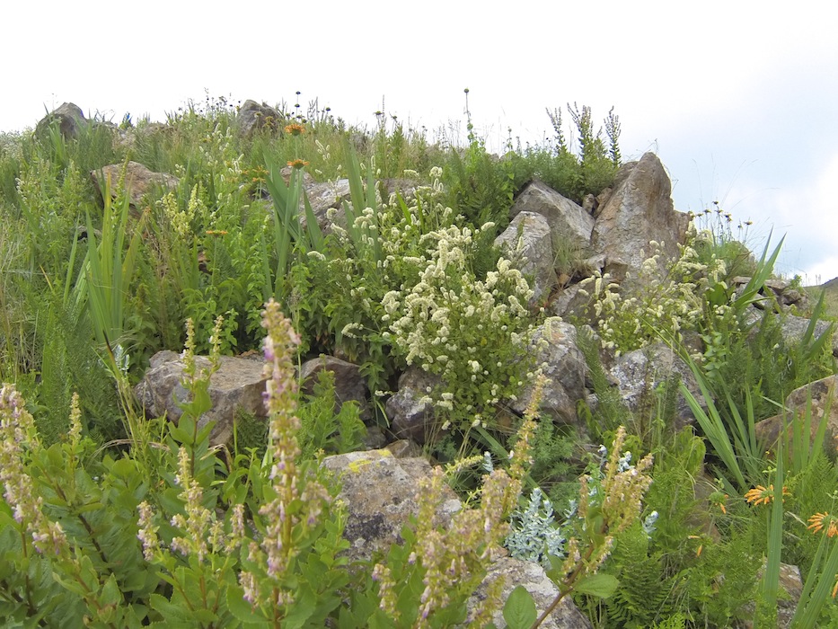 Perennials and grasses in the veloran vallei
