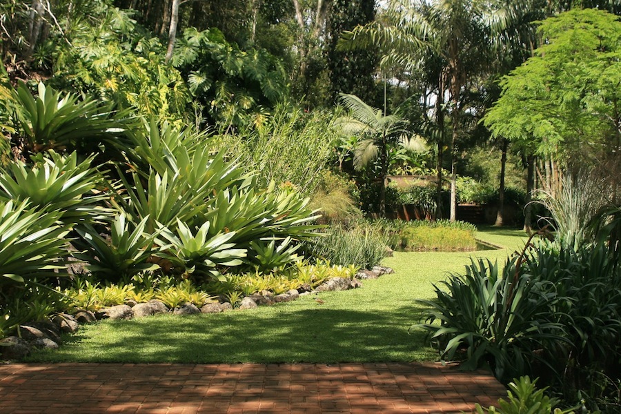 Burle Marx Raul De Souza garden