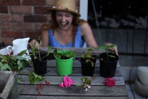 Get excited over your cuttings