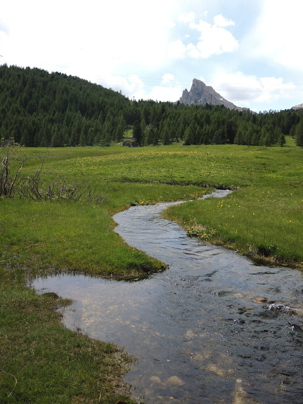 Riparian zone Dolomites