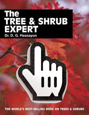 Tree and Shrub