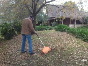 Jim raking - all our tools have to be cleaned