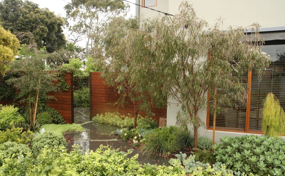 Sun-loving succulents and Australian plants enhance this home