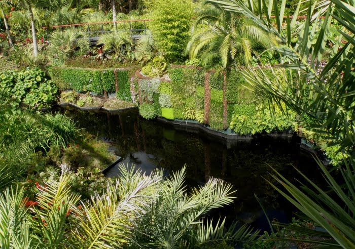 Greenwall in the Tropical Garden, Hamilton Gardens, NZ