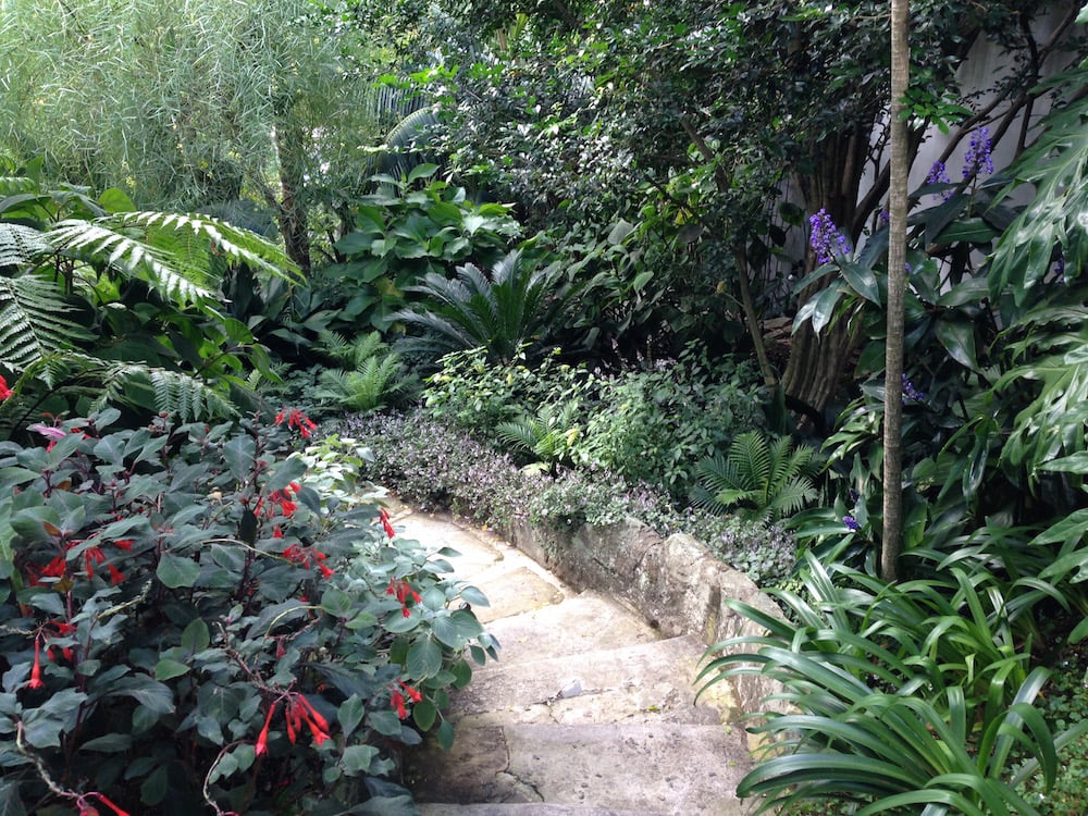Christopher Owen Landscape Design's Vaucluse Garden. Photo: Janna Schreier