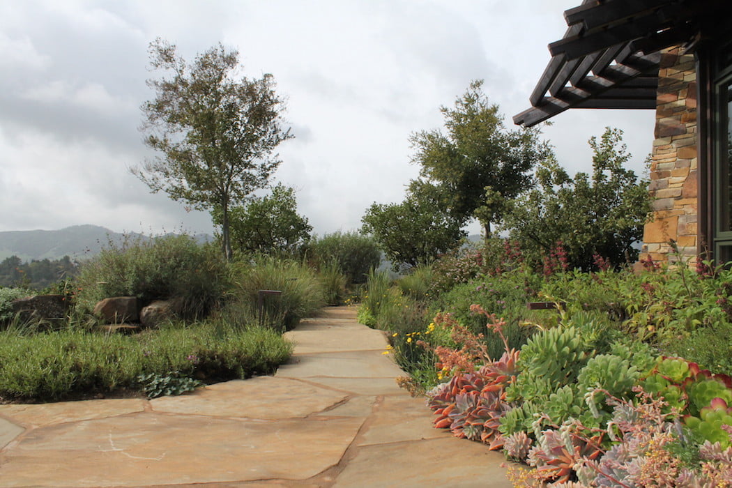 Stone path floats through a sea of plants Reclamation of Native Oak Ridge, Design David Thorne LA, Oakland CA
