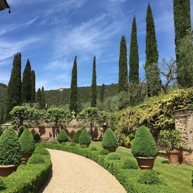 Trees: punctuation with pines at Villa Cetinale