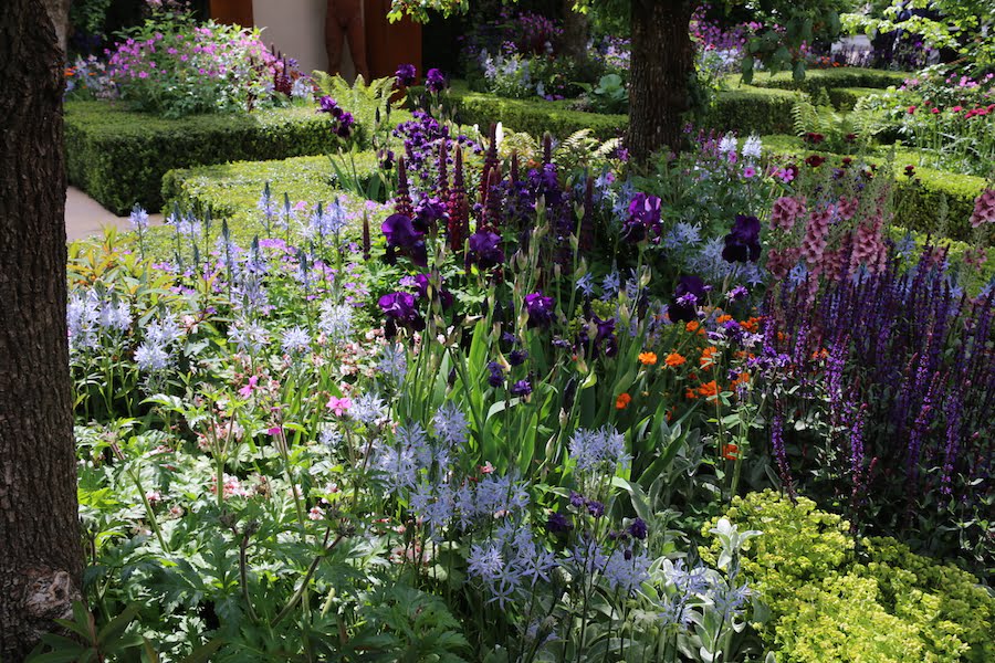 Chelsea Flower Show 2015 woodland garden. Photo Fiona Ericsson