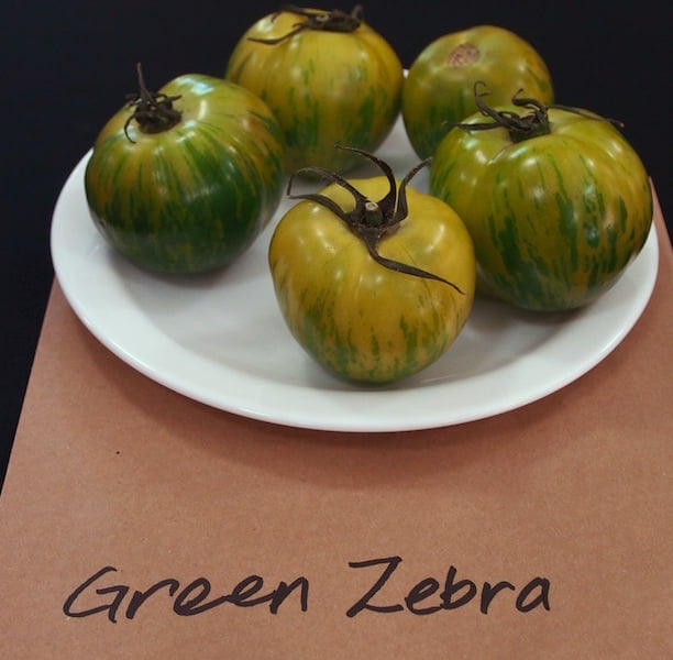 Green Zebra heirloom tomatoes