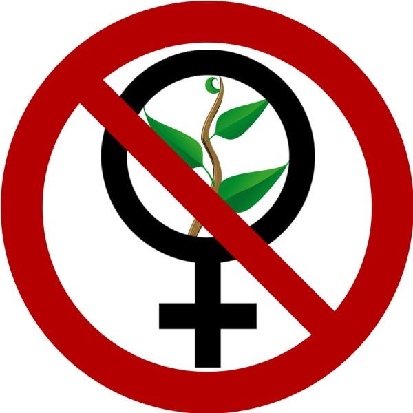 Women in horticulture