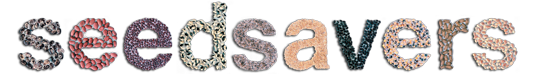 ssn_logo