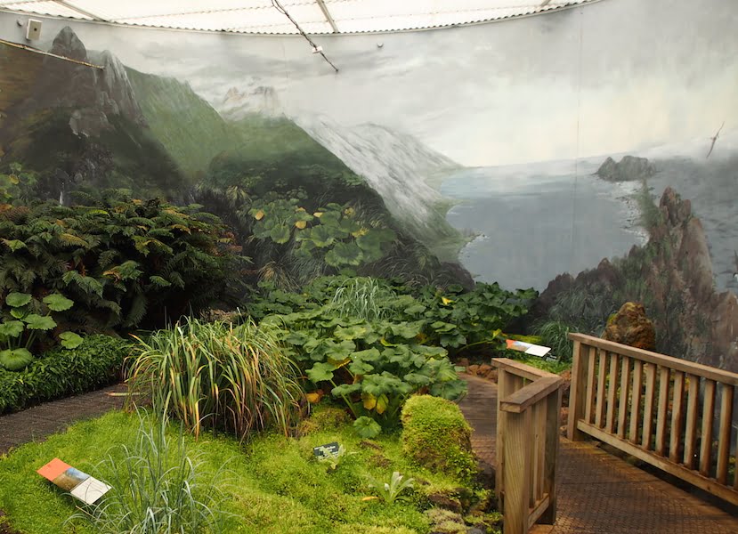 Inside the chilly display of Macquarie Island plants in the Royal Tasmanian Botanic Gardens