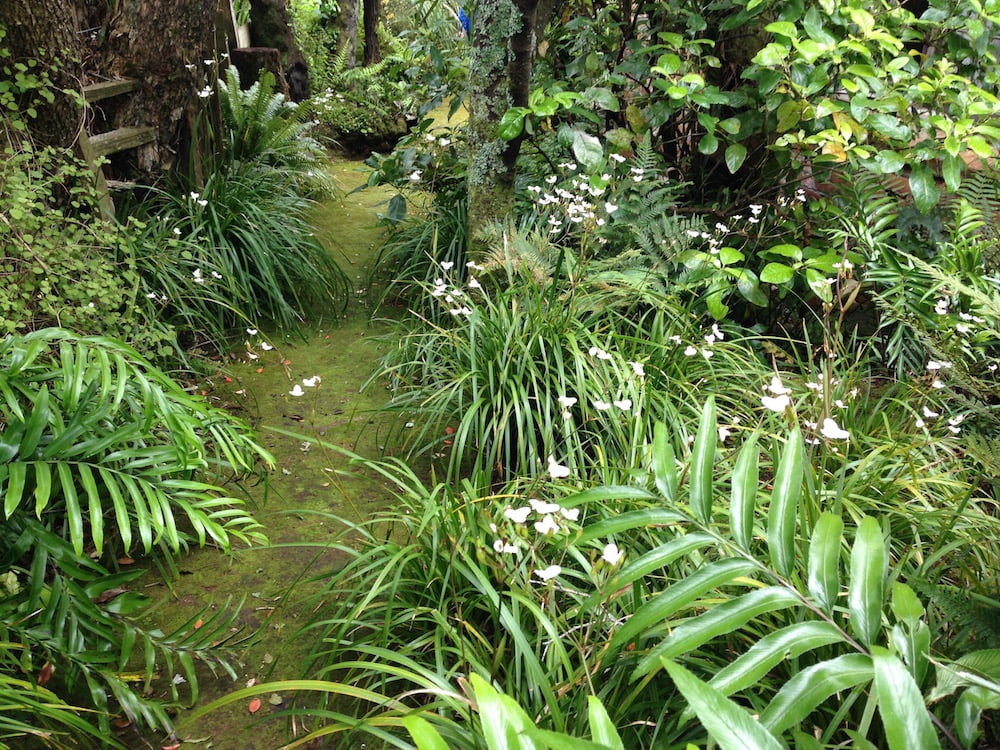 Te Kainga Marire garden. Photo Janna Schreier