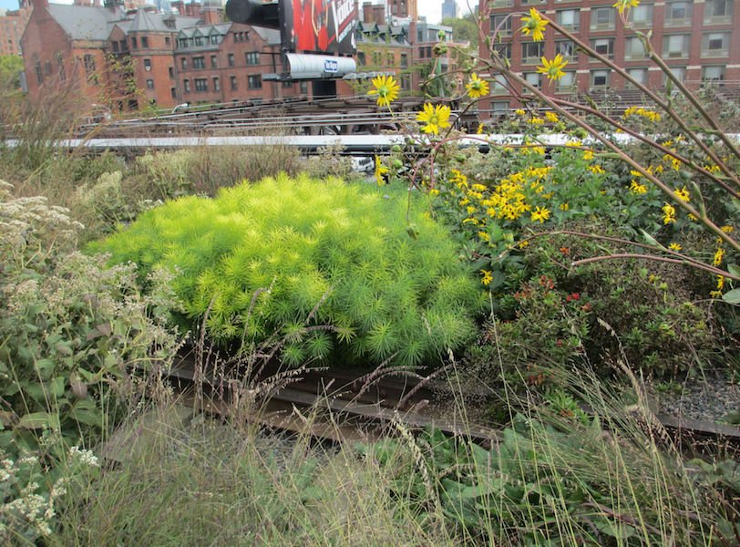 New York’s famous High Line
