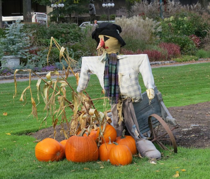 Quebec harvest and Halloween Decorations