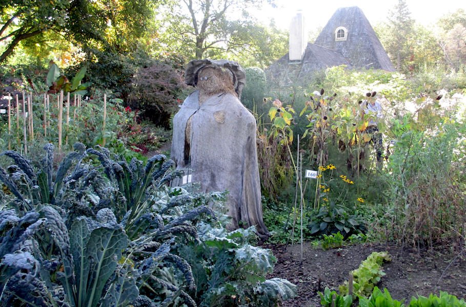 Stonecrop garden's vegetable patch