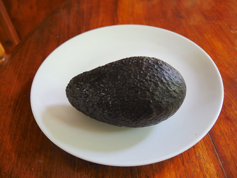 Our very singular avocado
