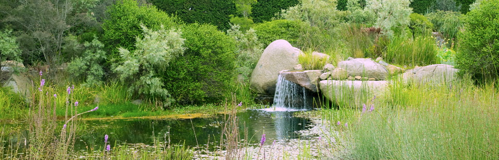 Philip Johnson designed waterfall and pool at Lubra Bend in the Yarra Valley off set with' hand selected boulders to showcase nature’s sculptural brilliance' (Johnson). (Anne Vale)