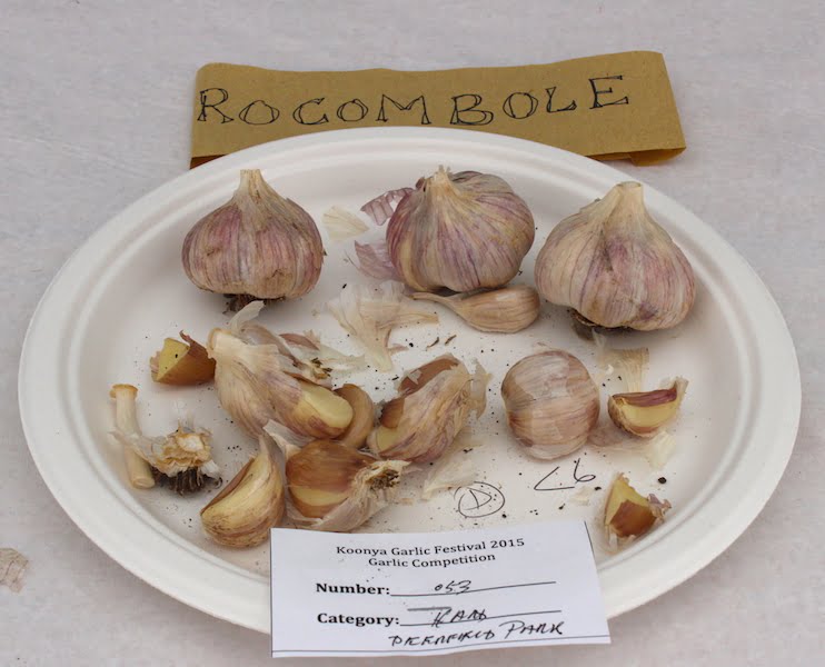 Rocombole Garlic. Photo Carey Badcoe
