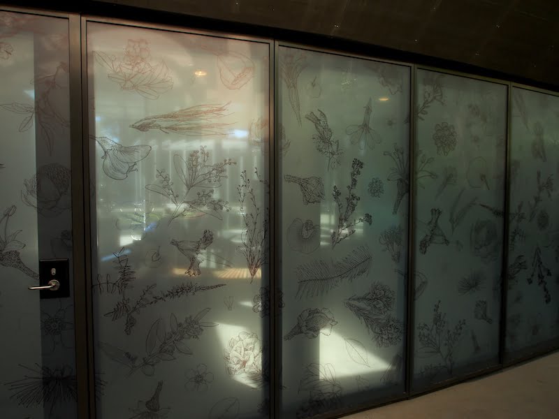 Engraved botanical illustrations on frosted glass moveable walls inside The Calyx, Sydney RBG