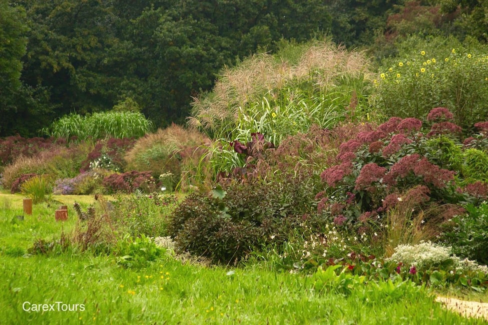 Piet Oudolf designed this border for Ernst Pagels' garden in Leer, Germany. In the far left background is the mother plant of all modern Miscanthus.