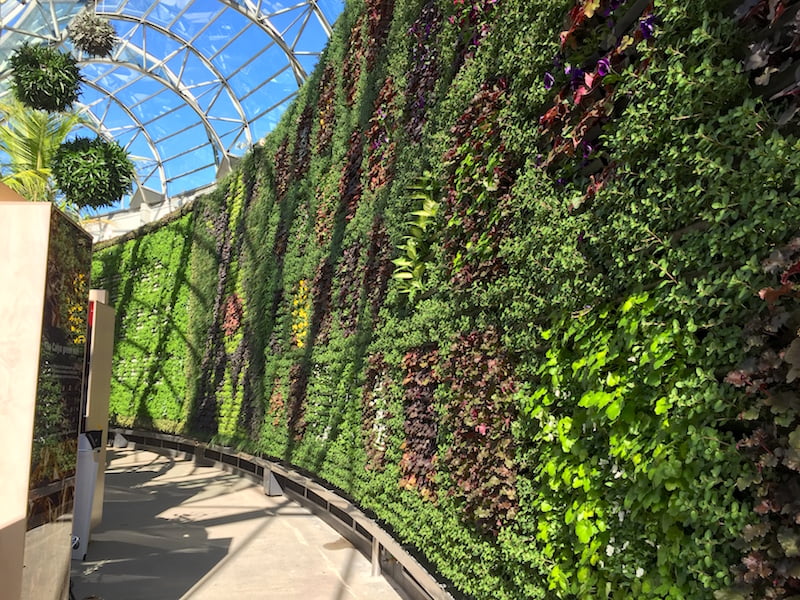 The Calyx has a huge vertical garden of 18,000 plants, Sydney RBG