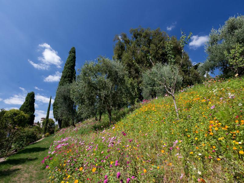 Flower meadow at Villa Freya. Photo Matteo Indri.