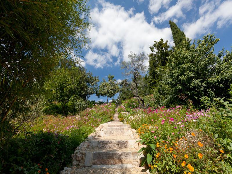 Pathway and steps after restoration