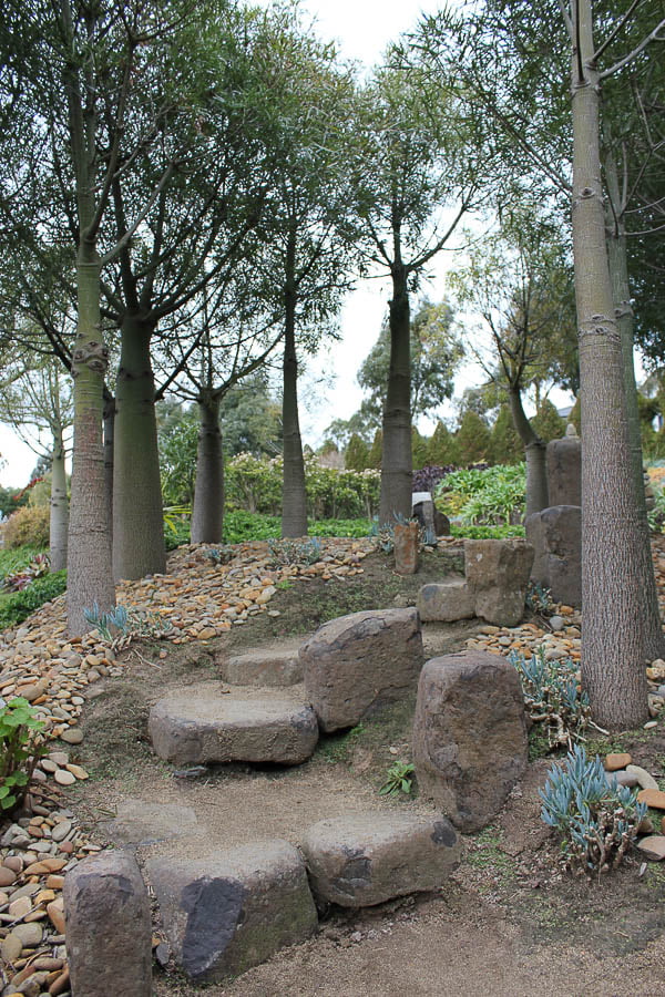 Bottle tree walk in Attila Kapitany's garden