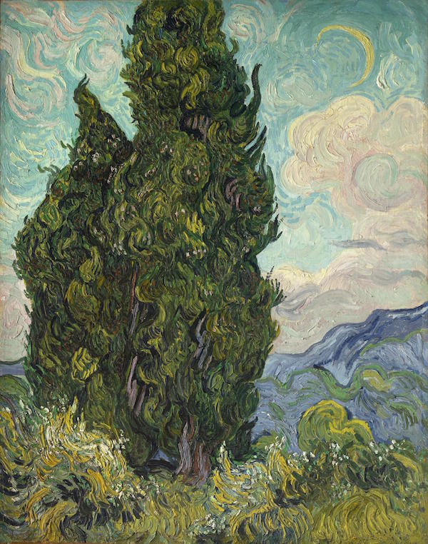 Cypresses by Vincent Van Gogh 1889