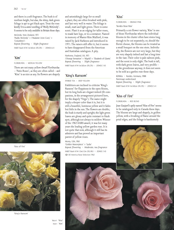 Macoboy's Roses p262