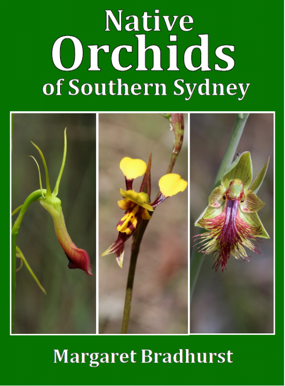 Native Orchids of Southern Sydney by Margaret Bradhurst
