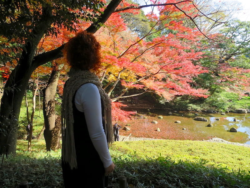 Enjoying the Koishikawa Korakuen garden in Tokyo