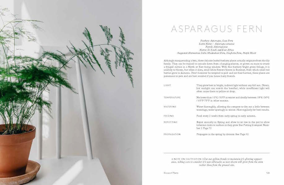 Book review: House of Plants |